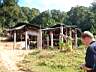 Doi Inthanon 017.jpg